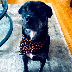 Meet your Posher, Michaela